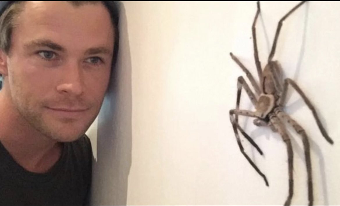 Chris Hemsworth'un bu twiti atıp "Arkadaşlarınızla selfie yapın!" demesinin üzerinden 3 yıl geçti !