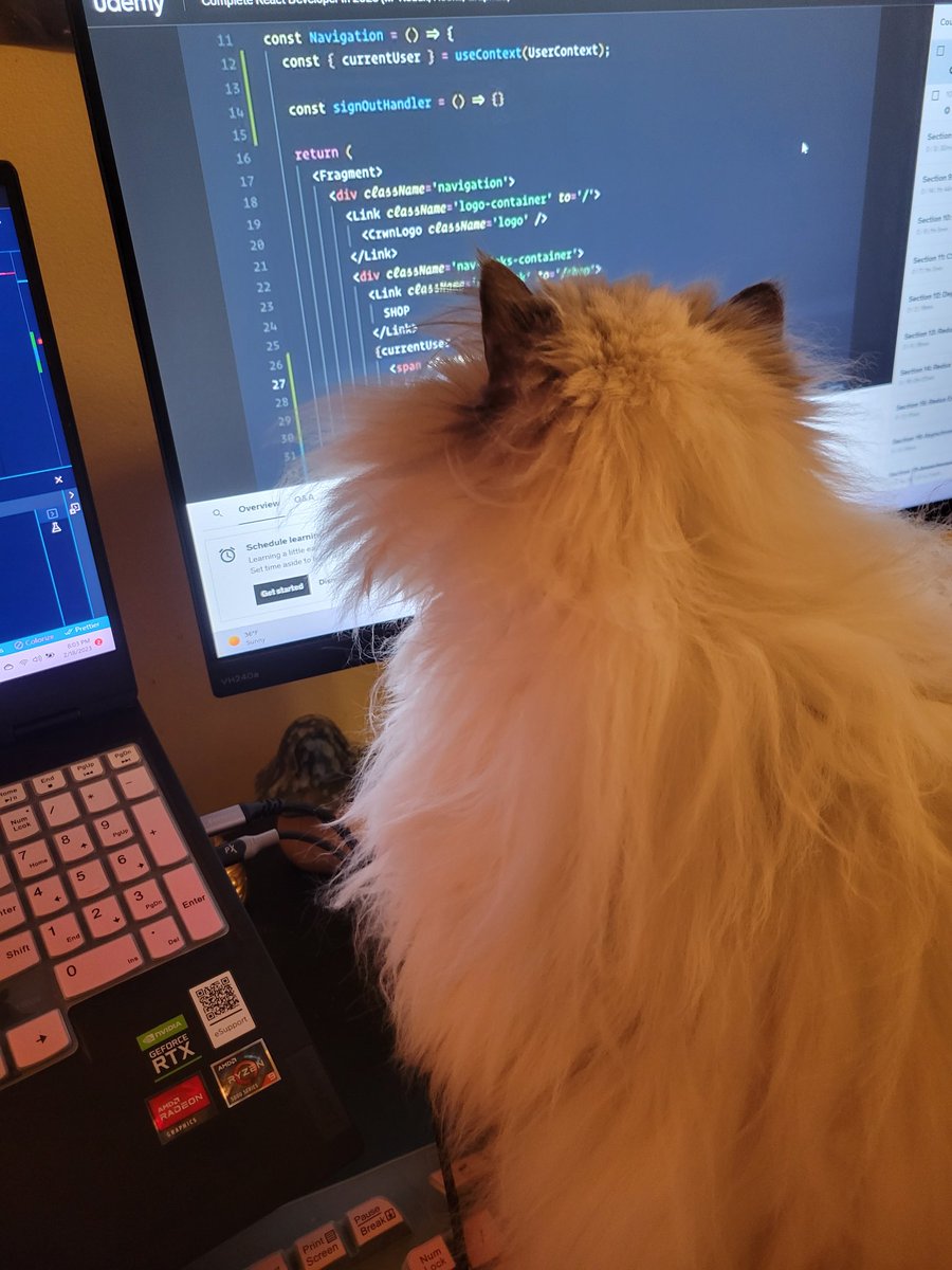 EmReedCodes's tweet image. I am a cat,
I learn React. 
#CatsofTwittter #LearnToCode #codingcat