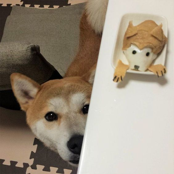 4life_ForceSHIB's tweet photo. @ShibBender HAPPY SUNDAY BRO Bender
#SHBARMY 4LIFE https://t.co/UBbTGvEDSW