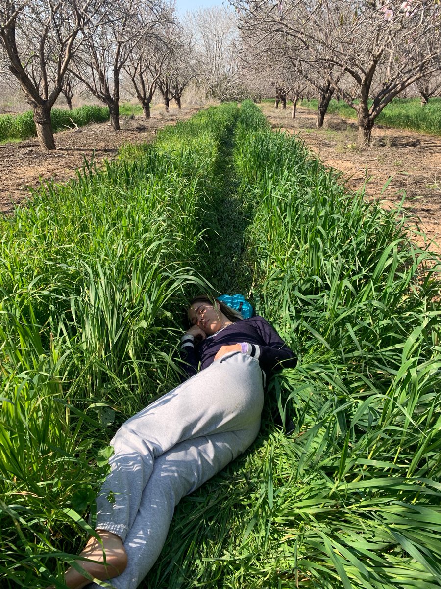 נמנמתי היום בדשא 
האם אני כבר דמות בסרט של ג׳יבלי?
