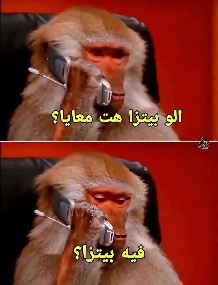 egymeme11's tweet photo. ياعم شوفو هتطلبو ايه وانا اللي هتصل واتكلم سهلة يعني 
-وانا بتكلم : https://t.co/VqFUp82oSv