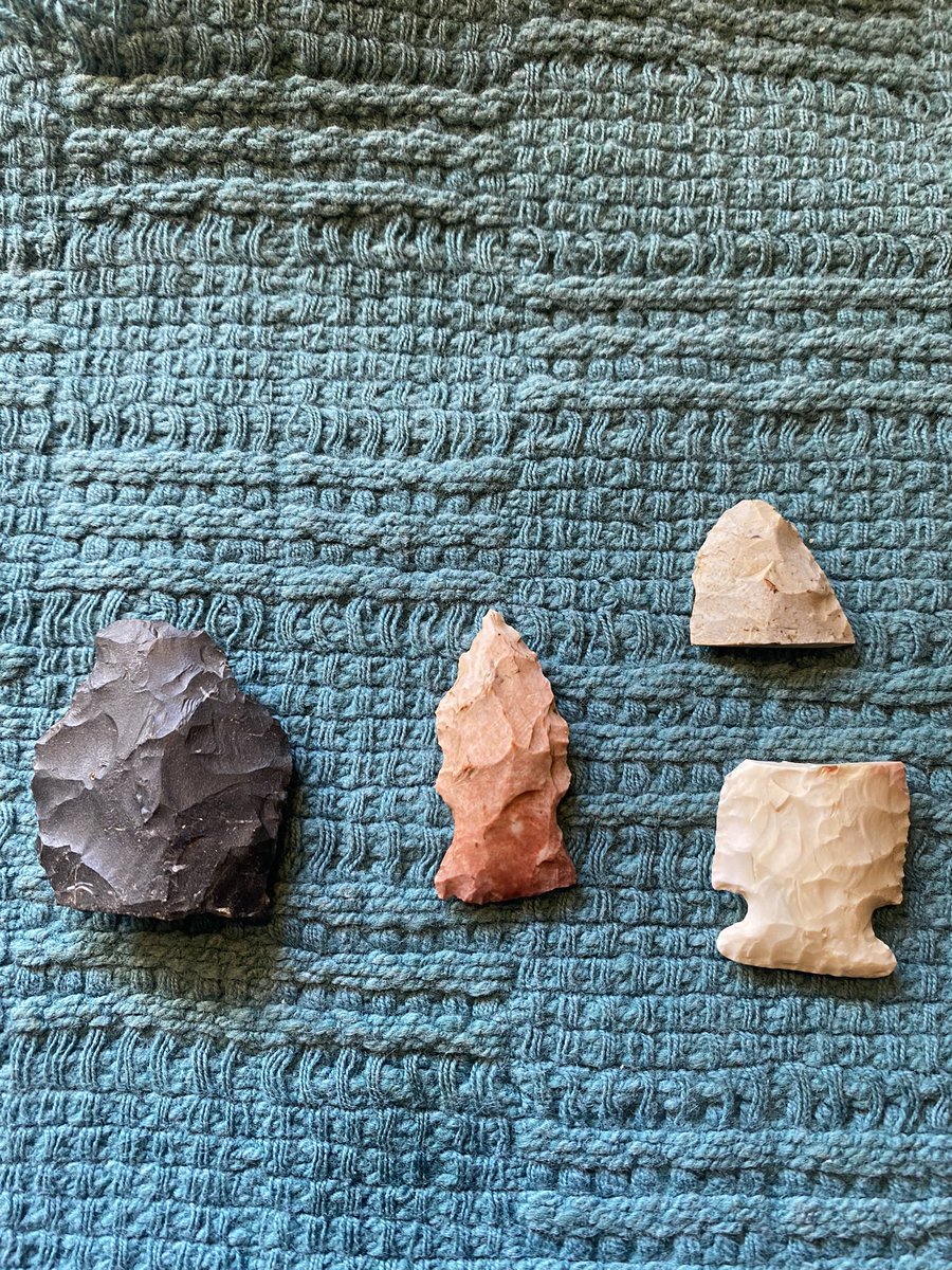 aTinaMichel's tweet photo. It was a no shed Sunday, but the arrowheads I found made up for it. The little pink one is amazing!! Just think I was the first person to touch in 8-10 thousand years!! 🤯#arrowheadhunting https://t.co/EEl9zJy57G