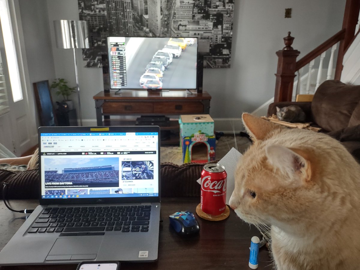 servicepavilion's tweet photo. @Dell on @nascar .com @CocaCola for the satisfaction and #tannerthekidten watching the laps #daytona5002023 #Busch401K https://t.co/Ud7jLcq59j