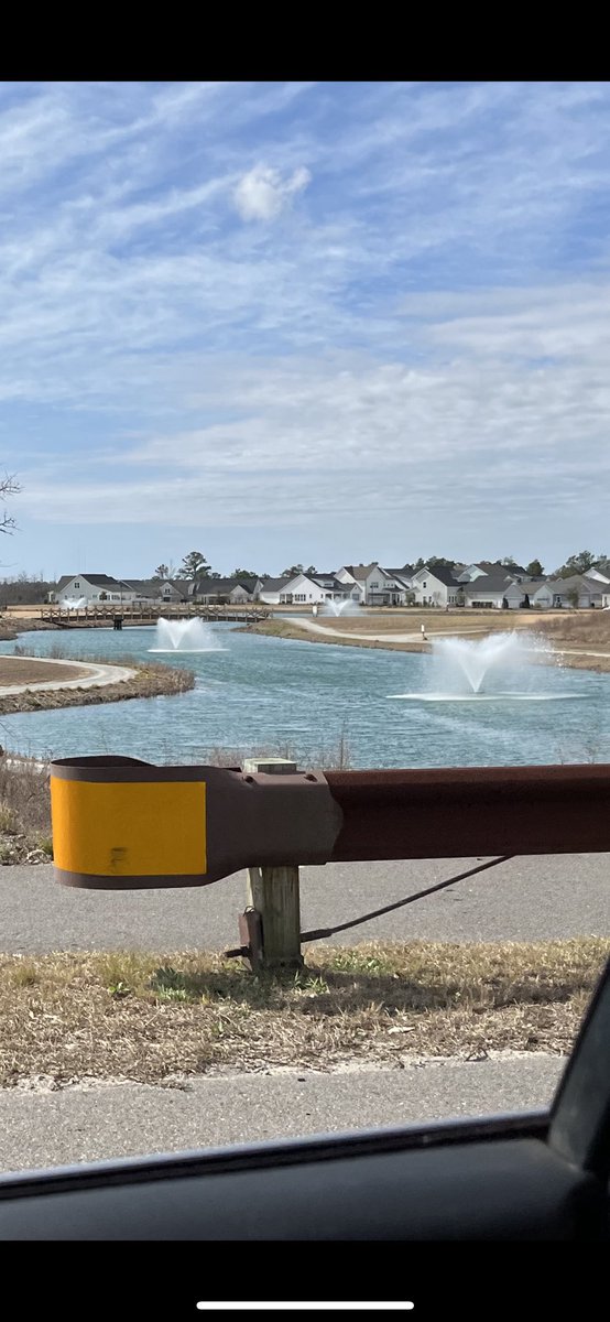 More natural features of the communities near the school 🐊#EDN330s23Tour #CommunityMapping #SilverLake