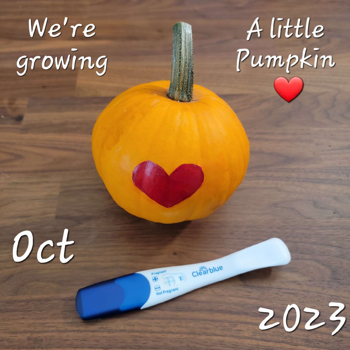 Aaraflynn's tweet image. Now and then life sends you a big plot twist ❤️
This is why we aren't going to Twitchcon!! 🥰