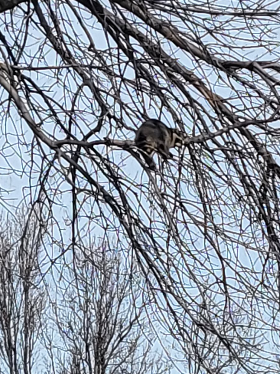 Little dude is out cold. Or dead. Pretty sure he's just asleep.