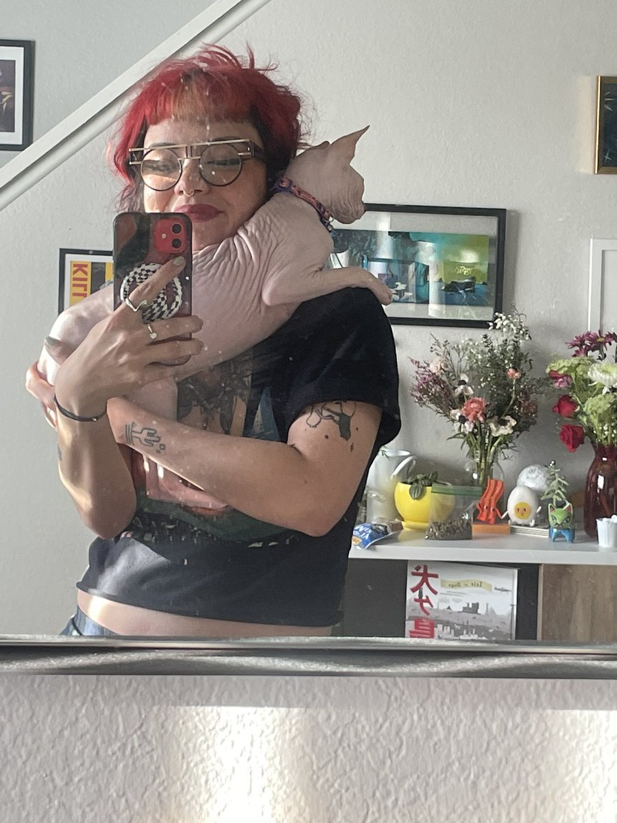 TheKittyPims's tweet photo. i cannot believe this CAT 🗣🗣🗣 it hasn’t been 24 hours and im in love https://t.co/uyw59JsjK7