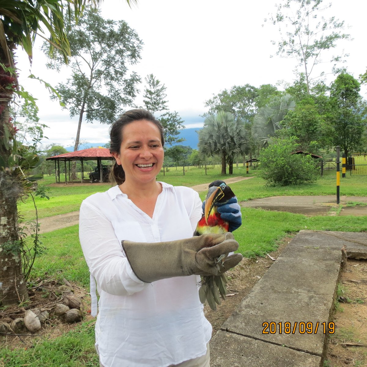 TelevisionUNAL's tweet photo. La profesora @NubiaMatta empezó a estudiar parásitos de fauna silvestre en 1997. Estas investigaciones permitieron consolidar luego el Grupo de Estudio Relación Parásito Hospedero, GERPH, del Departamento de Biología de la Universidad Nacional de Colombia. https://t.co/wPof6nEcrk