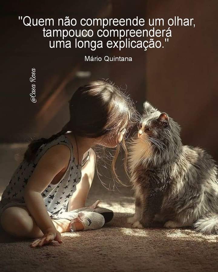 ᎶД✞ø ρЯƎ✞ø 🖤🤍SCCP🇧🇷🇧🇷🇧🇷🇧🇷🇧🇷🇧🇷🇧🇷 (@gattopretto_) on Twitter photo 