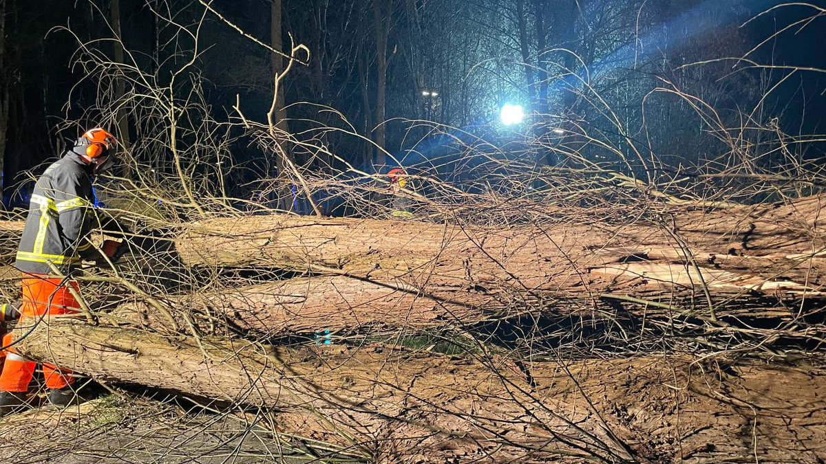 FFEppendorf's tweet photo. Einsätze durch Sturm Ulf

- 2 Einsätze mit ca. 7 Std. Dauer
- Lage: komplizierte Sturmlagen, 25m Baum (1,60m Durchmesser)
- Einsatzauftrag: umfangreiche Säge- &amp; Sicherungsmaßnahmen 
- Mittel: 5 Kettensägen, Seilwinde, LIMA (7000W) https://t.co/dWVGakSRJg