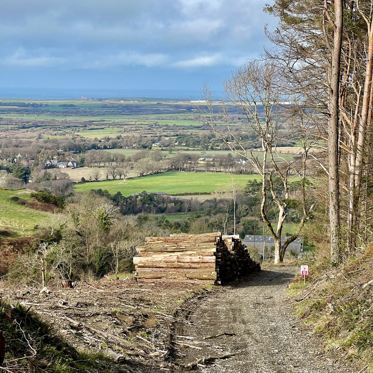 Meraki_IoM's tweet image. Been struggling with my MH recently so had to push myself out the door today, so difficult sometimes to motivate yourself to do the right thing, I’m glad I put the negative thoughts to one side for a bit. @StormHour @ThePhotoHour @BiosphereIOM #isleofman #ohio #sulby