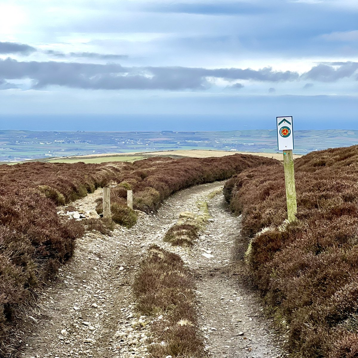 Meraki_IoM's tweet image. Been struggling with my MH recently so had to push myself out the door today, so difficult sometimes to motivate yourself to do the right thing, I’m glad I put the negative thoughts to one side for a bit. @StormHour @ThePhotoHour @BiosphereIOM #isleofman #ohio #sulby