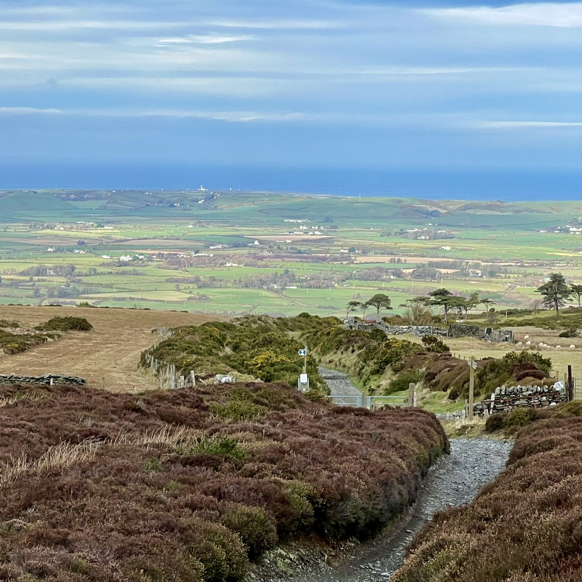Meraki_IoM's tweet image. Been struggling with my MH recently so had to push myself out the door today, so difficult sometimes to motivate yourself to do the right thing, I’m glad I put the negative thoughts to one side for a bit. @StormHour @ThePhotoHour @BiosphereIOM #isleofman #ohio #sulby