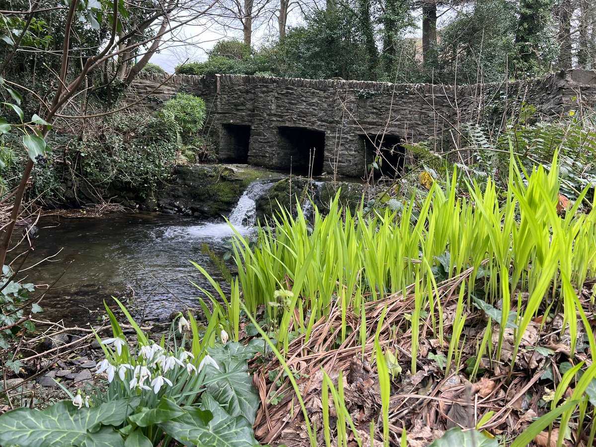 Meraki_IoM's tweet image. Been struggling with my MH recently so had to push myself out the door today, so difficult sometimes to motivate yourself to do the right thing, I’m glad I put the negative thoughts to one side for a bit. @StormHour @ThePhotoHour @BiosphereIOM #isleofman #ohio #sulby