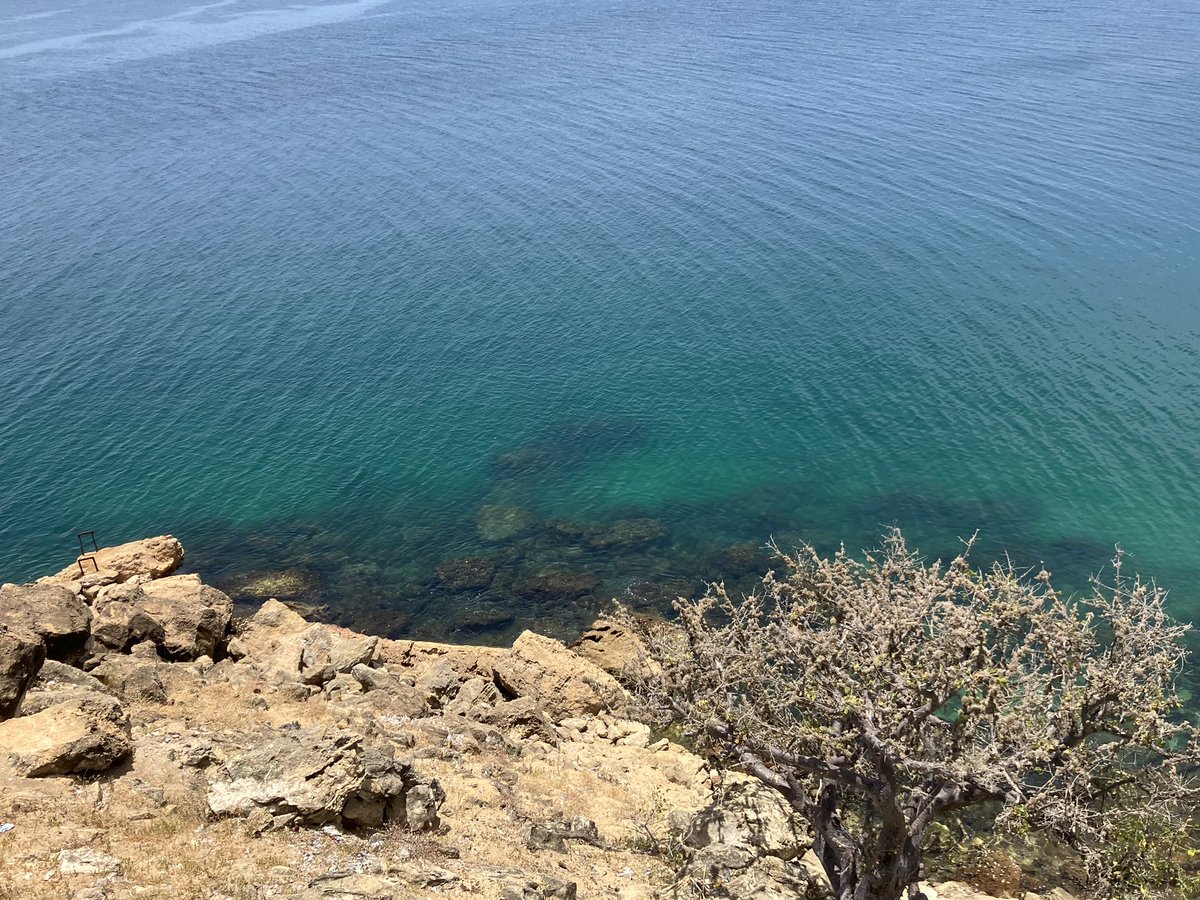 AngolaRoads's tweet photo. I’ve dived and snorkeled in Phu Quoc - Vietname, Key West- US, Mombasa- Kenia, Zanzibar-Tanzania, in the Gulf of Thailand and some other places, and I assure you that Caotinha in Benguela is not left behind these places!! What a brillant morning we had today! Wau! Such diversity. https://t.co/EkONO80iUF