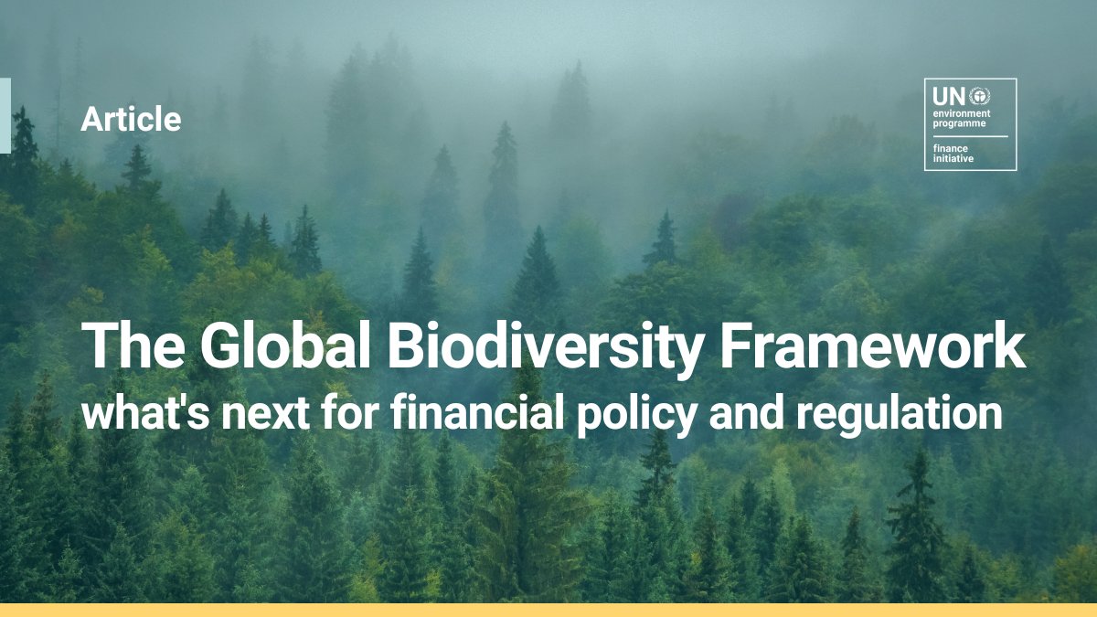 As governments adopt the new Global #Biodiversity Framework, #financial institutions must be ready to adapt to changing #regulations. Our latest article provides an overview of 5 actions you may expect from financial policymakers and regulators. Read here: ow.ly/mQvR50MLzGt