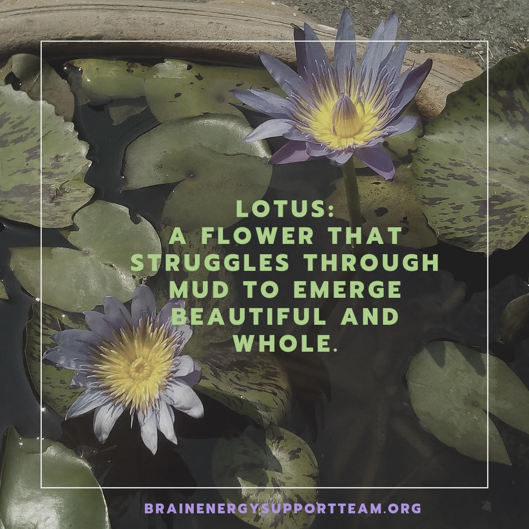 Did you know that the lotus grows in muddy water? It is said that the muddier the pond, the more beautiful the flower. Read more at our website. #empoweryourbrain #empowerment #BESTtalk #mindfulness #BESTselfcare #selfcare bit.ly/3IBHJFJ