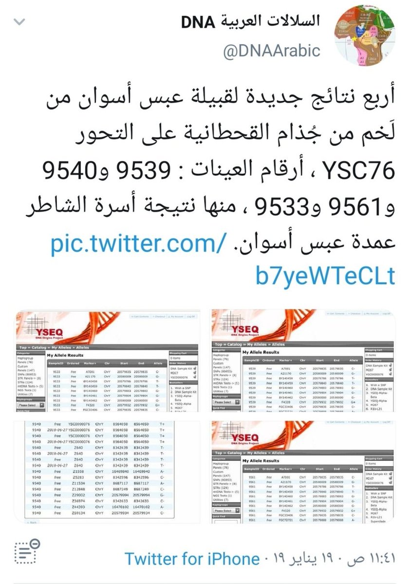 banyghanem's tweet photo. @YDNA19265832 @almuthry2000 عندي سؤال يالشايب الخايب ليش مهتم يتحورنا ليش ما تهتم بتحورك الهتيمي مصر ما فيها غطفان https://t.co/0ww2a0sxWJ