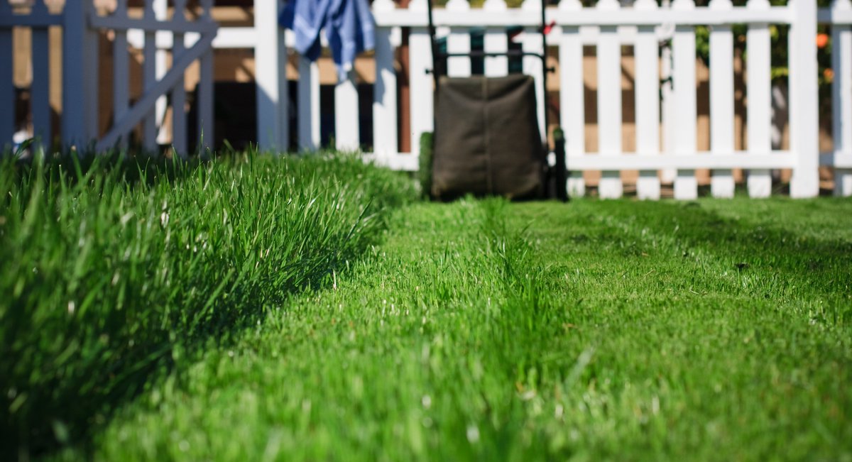Revive Lawn Products tweet media