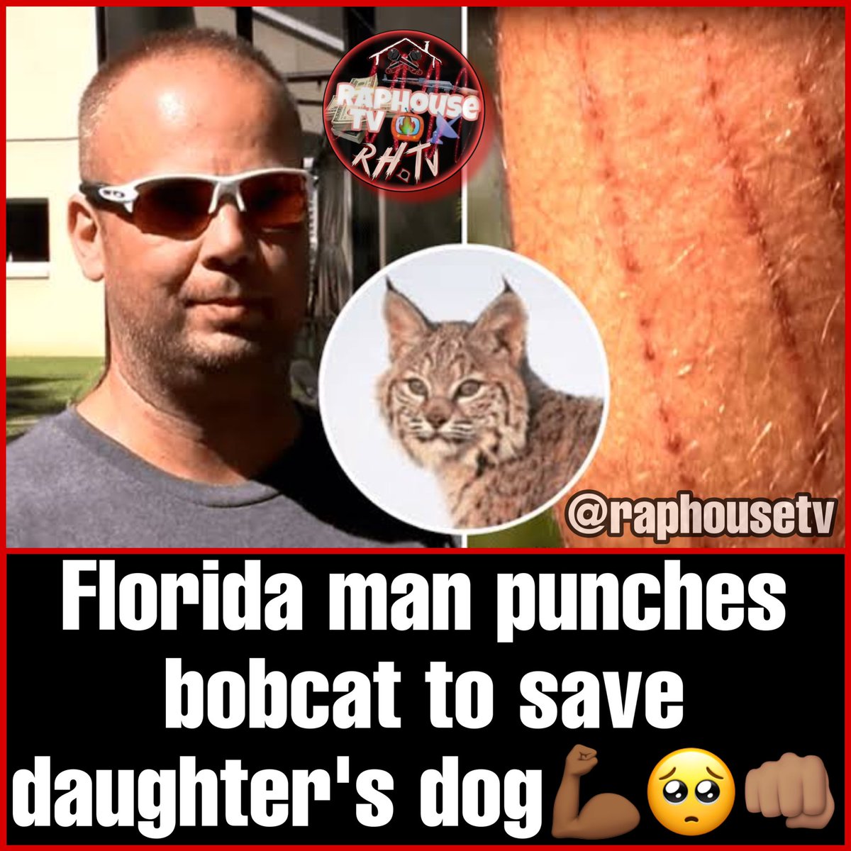 This Fucking Guy 💀 on Twitter "RT raphousetv2 Florida man punches