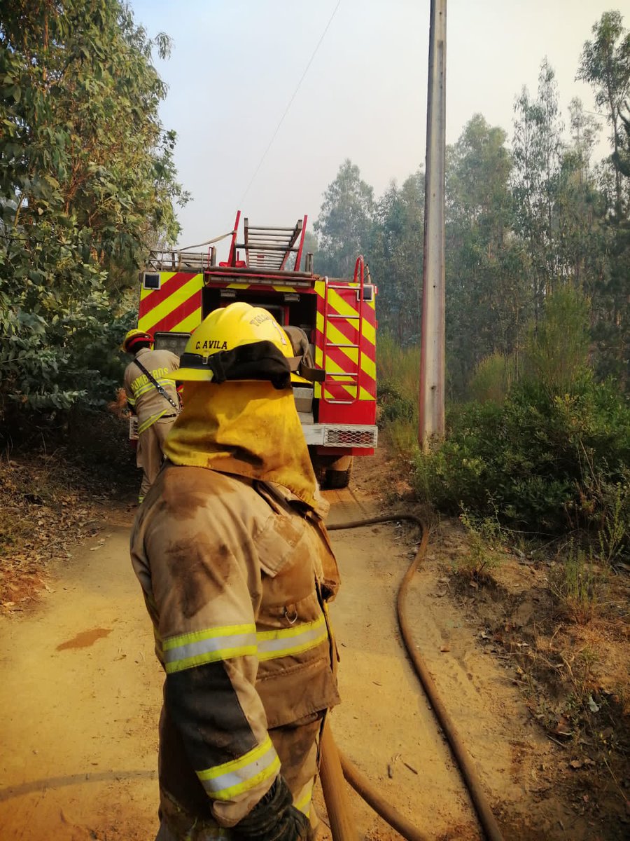 PrimeraThno's tweet photo. 👨‍🚒 Imágenes del trabajo de nuestros #bomberos y la unidad F-1 en #incendioforestal que afecta a la comuna de #Hualqui.

Trabaja un segundo grupo de #primerinos, y ya preparamos el siguiente relevo para esta noche.

👨‍🚒🚒 https://t.co/GbbnD6gKQO