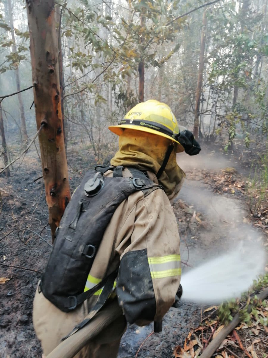 PrimeraThno's tweet photo. 👨‍🚒 Imágenes del trabajo de nuestros #bomberos y la unidad F-1 en #incendioforestal que afecta a la comuna de #Hualqui.

Trabaja un segundo grupo de #primerinos, y ya preparamos el siguiente relevo para esta noche.

👨‍🚒🚒 https://t.co/GbbnD6gKQO