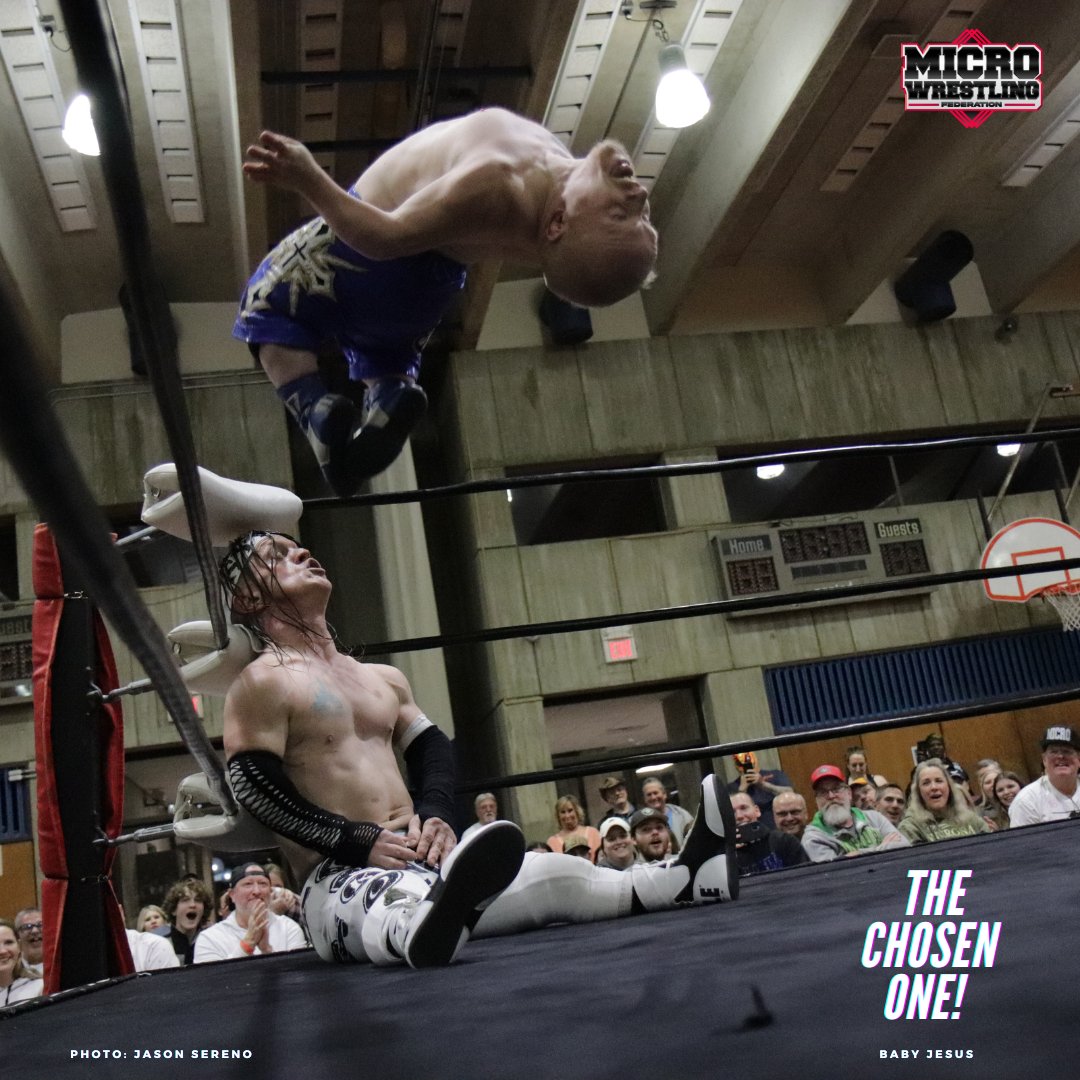Microfight Micro Wrestling Federation (@mwfwrestlers) / Posts / X