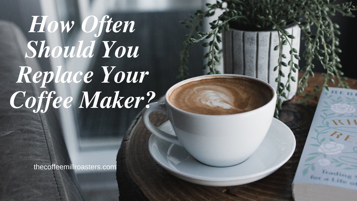 baristaraimo's tweet photo. How Often Should You Replace Your Coffee Maker?
Get more here: https://t.co/879XitJA09
#coffeehouse #coffeebean #coffeesesh #coffeeshots #coffeebeans #coffeeplease #coffeeculture #coffeeislife https://t.co/GtA8khLwpB