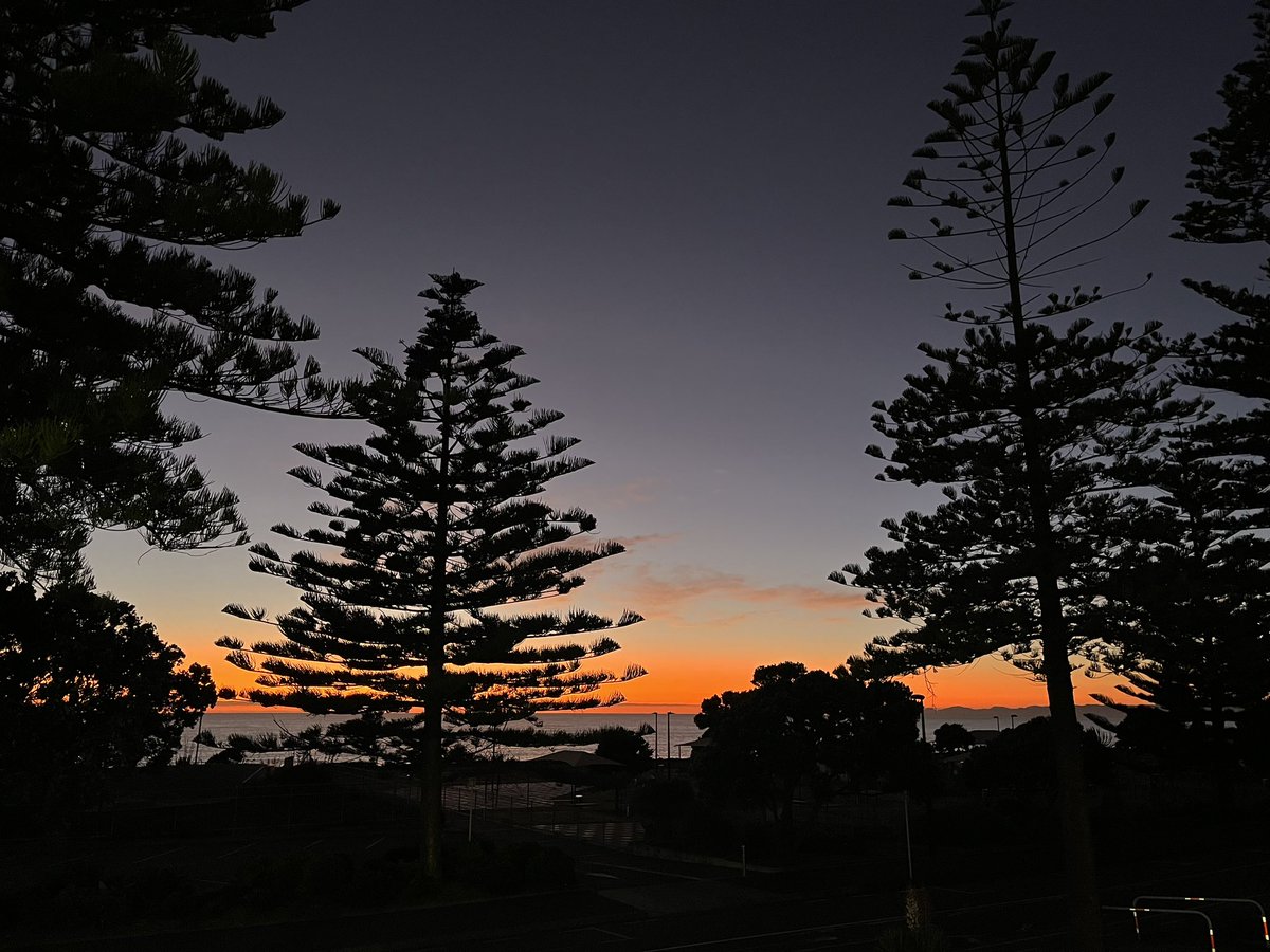 Shannon Redstall tweet media