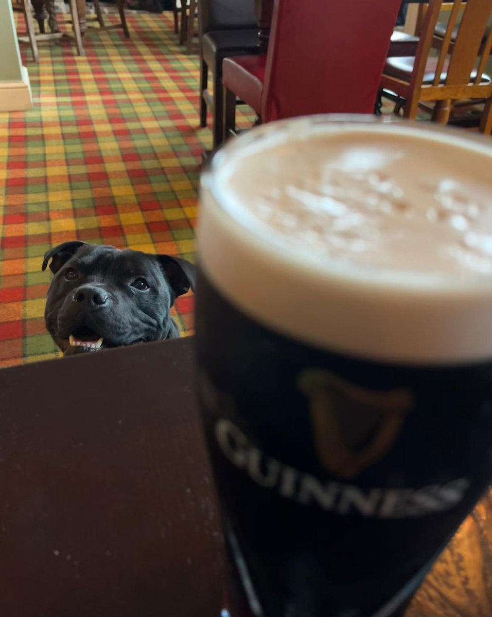 Busy weekend, playing in the countryside, at the beach, and at the Pub! Have a lovely Sunday evening everyone!