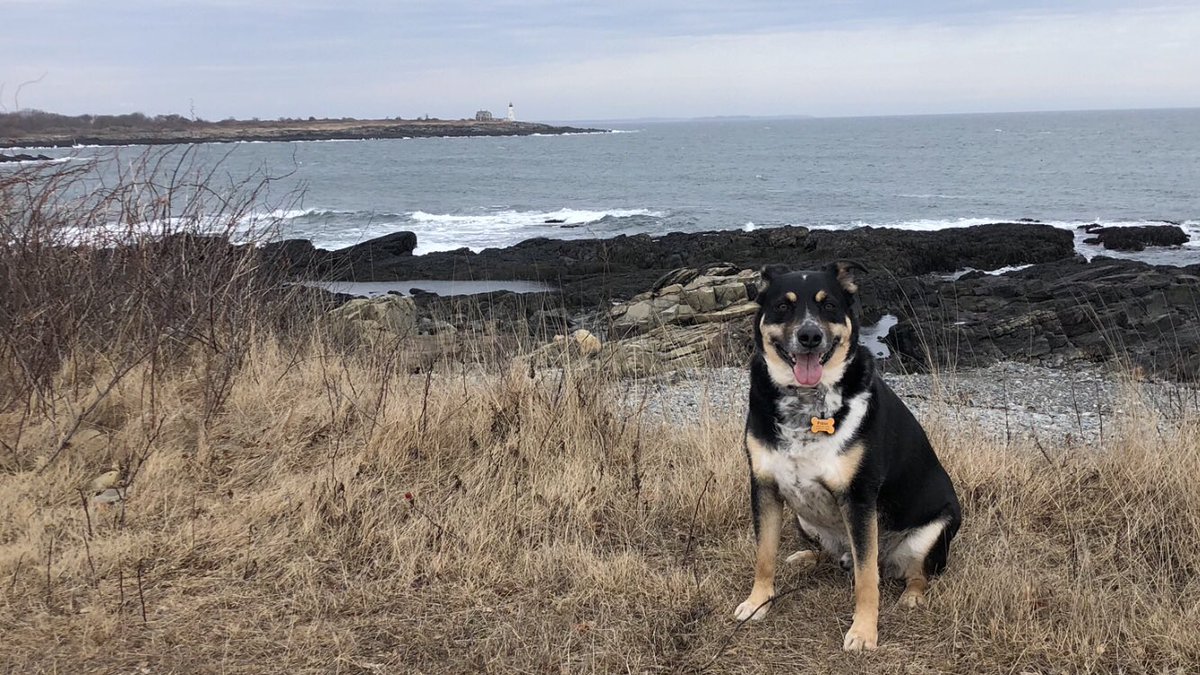 Patrick Sevigny tweet media