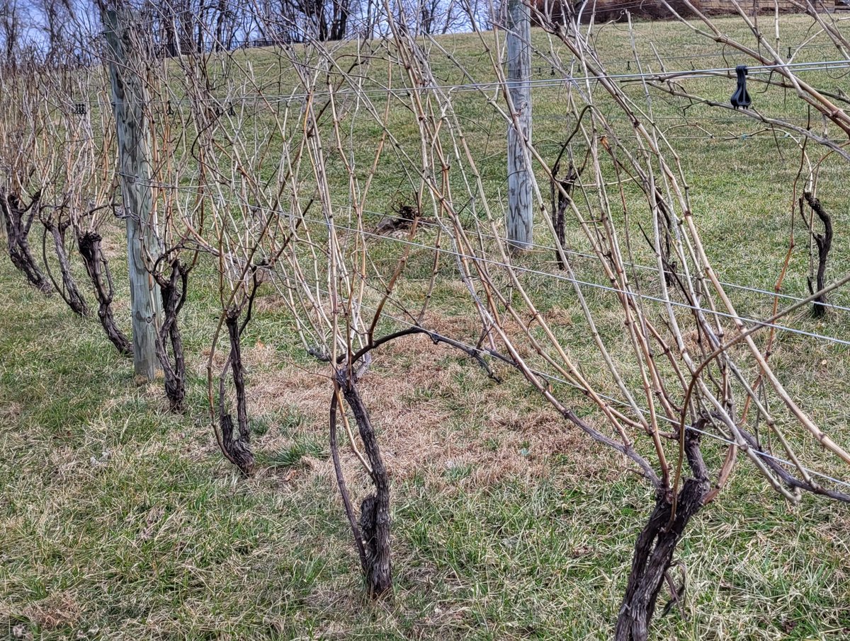 Garry Cohen tweet media