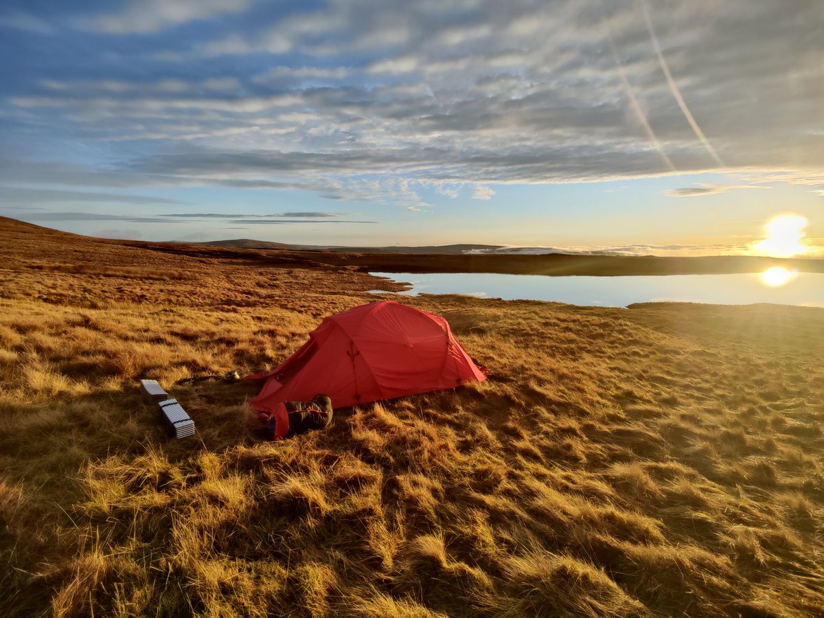 Dylan Hayes | MVP tweet media