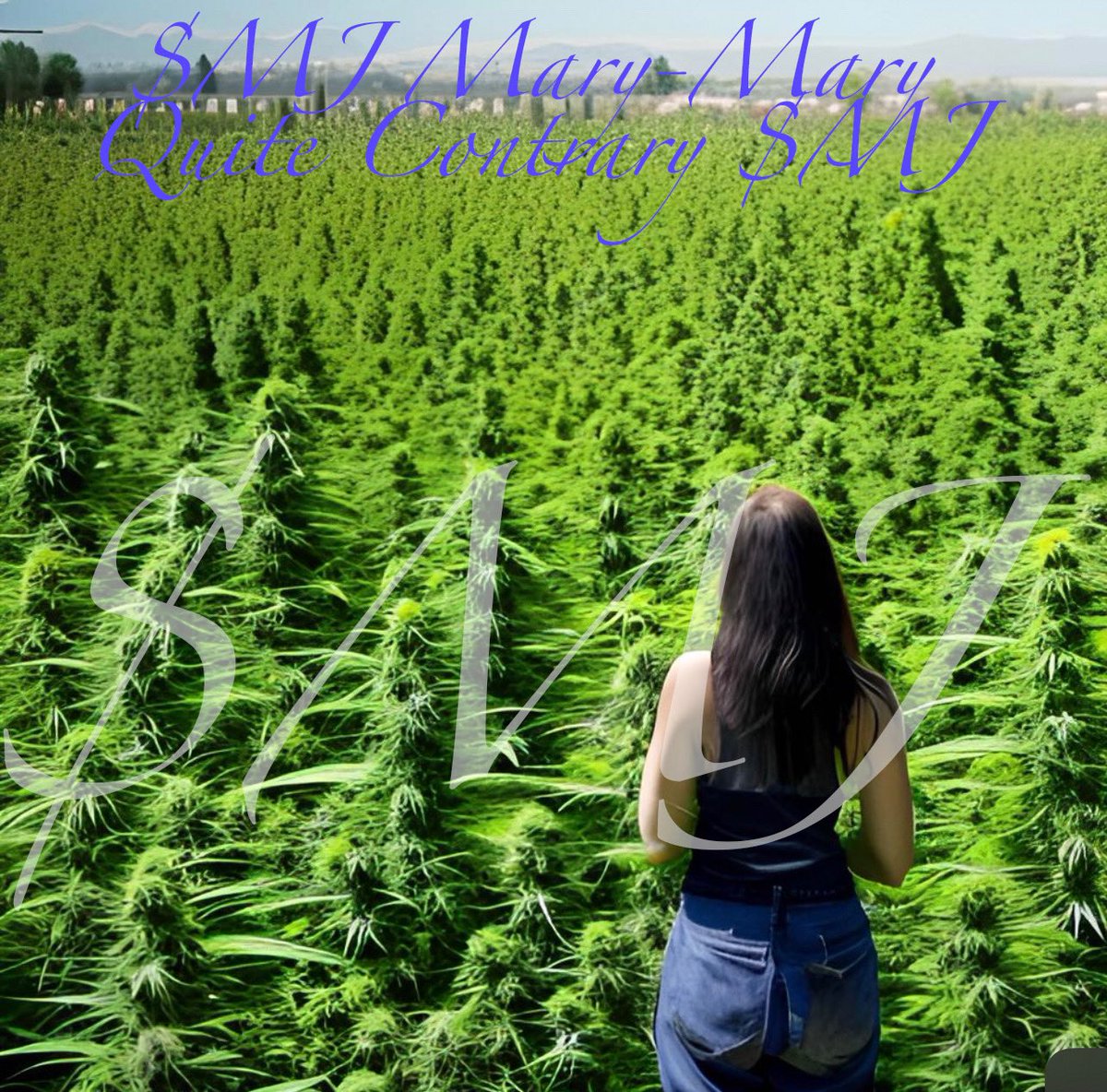 MaryJaneSOLANA's tweet photo. Mary-Mary Quite Contrary…..

Ten (10) random people who drop their #Solana address will get a $MJ surprise after 777 RT LFG! 💀 Wake-n-Bake

@hey_wallet send 10000 $CHILI to the first 777 retweets and follow and drop address

#SOL #Airdrop #Giveaway #cannabisindustry #MJSOL https://t.co/cwBP9vXxVV