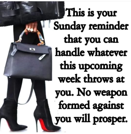 Laura Martin (@laurama60759357) on Twitter photo 