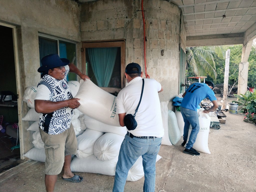 ClaudiaSR26's tweet photo. Apoyo a productores con análisis, en campo y transporte para traslado. Acopio en el Ejido Puerto Arturo, José Maria Morelos, Quintana Roo.
Centro de Acopio Kilómetro 50.
El campo no se detiene
Sin maíz no hay país
#Preciosdegarantia
SEGALMEX https://t.co/u28Kk9y3qF