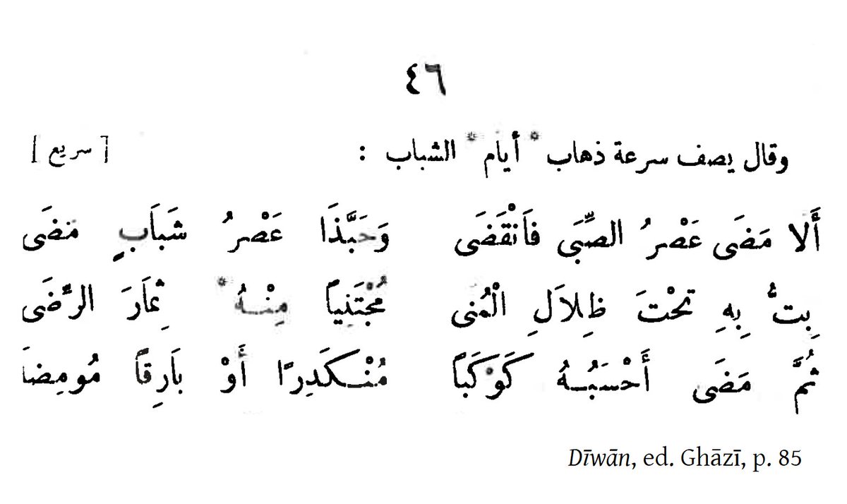 Classy Arabic Poetry tweet media
