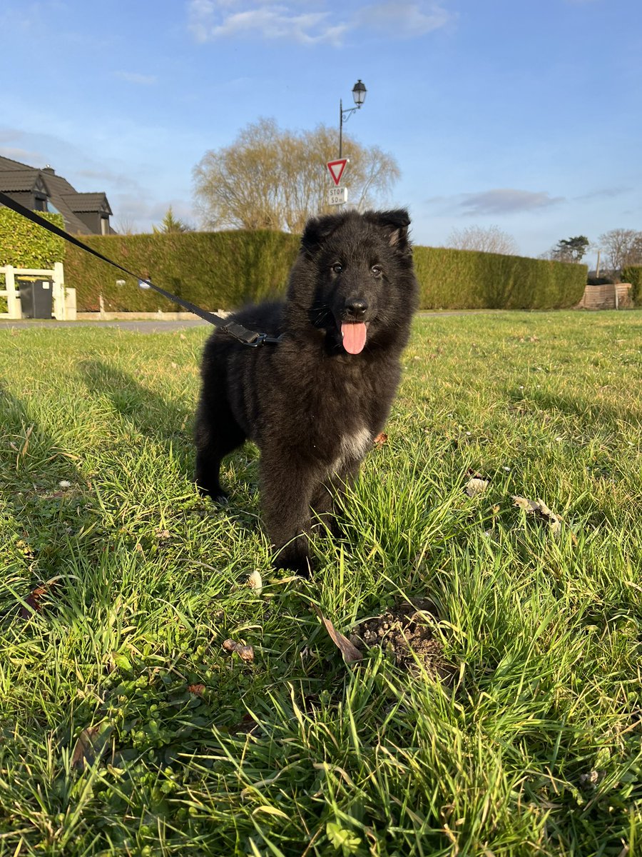 mrtn2603's tweet photo. Le pti bébé 🥰 https://t.co/0fhDs9crA5
