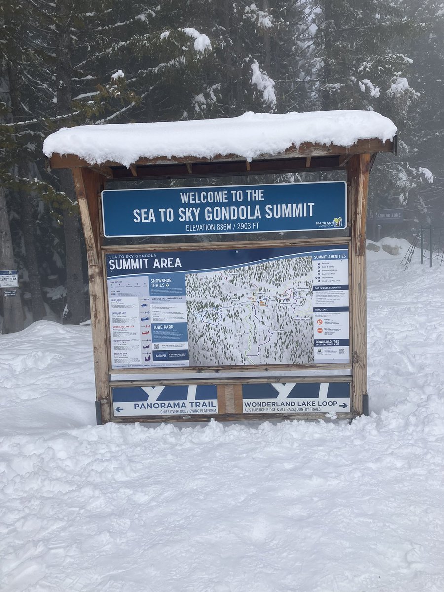 Conociendo la nieve 🏔️🚠

#yaelrmz25 #canada #SeaToSkyGondola