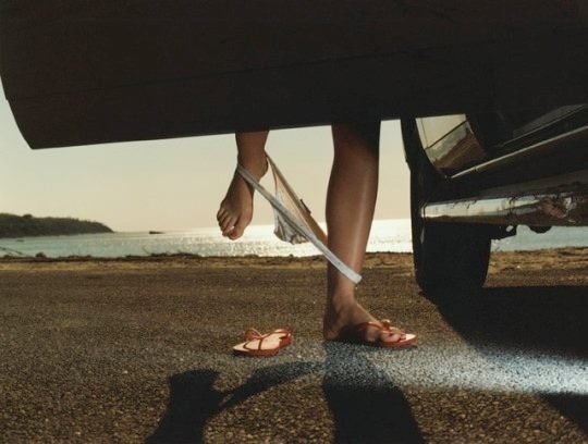 ¨•*¨*•. 𝒯𝒾𝓃𝓎 𝒟𝒶𝓃𝒸𝑒𝓇.•*¨*•¨ tweet media