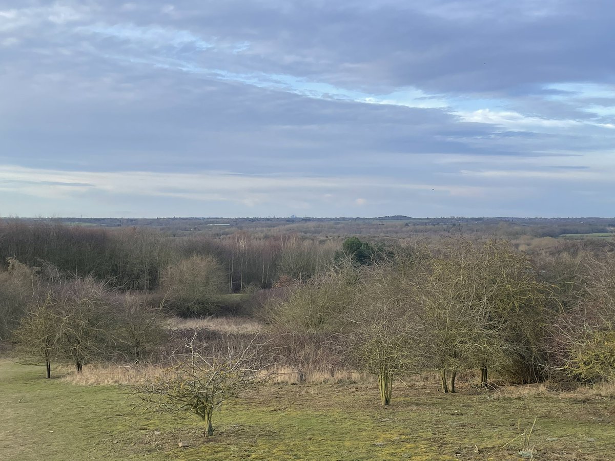 wilbir31's tweet photo. Morning stroll from home . Birmingham skyline in first pic ( zoomed in) https://t.co/uVKYwrtnQU
