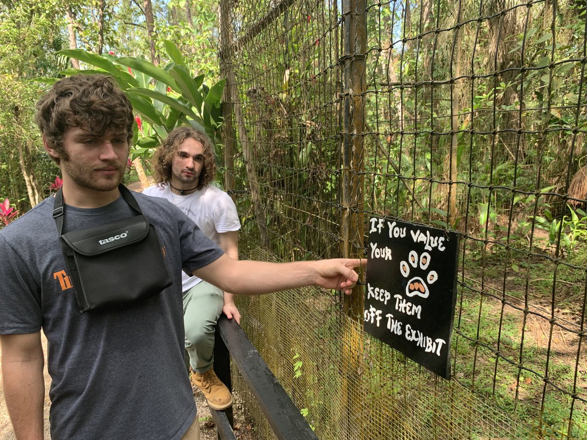 Pre-breakfast walk in the jungle. Then a savanna walk for a day visit of the Belize zoo