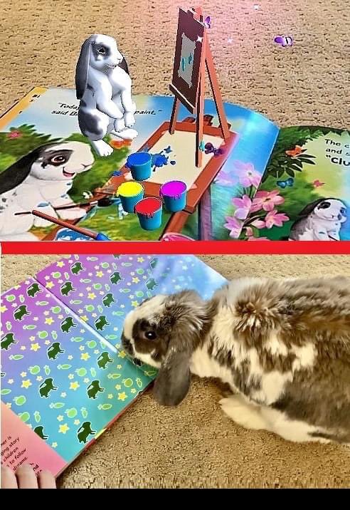 Who wants to see Bini the Bunny next to them? Help Bini’s project- kickstarter.com/projects/binit…