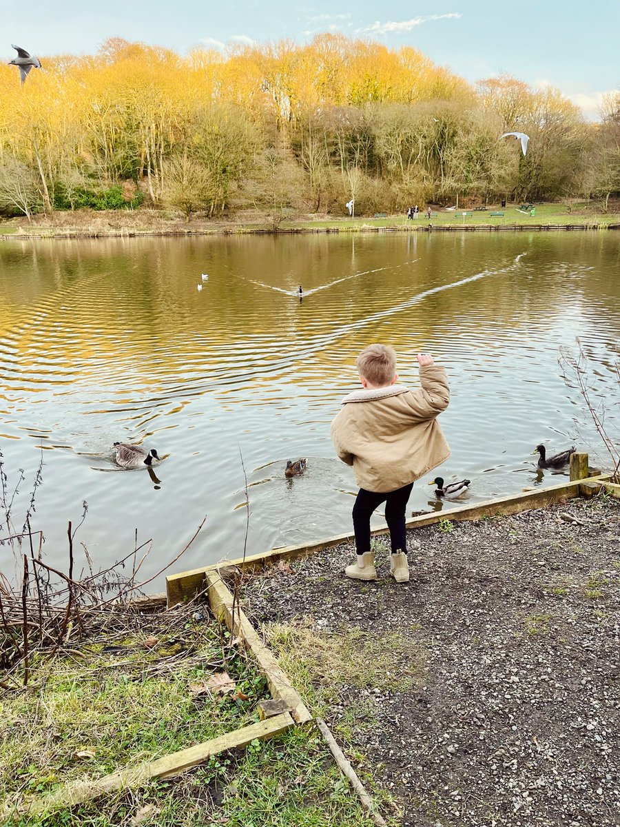 AmyBlythe_'s tweet photo. Rupert spotting signs of spring on our way to feed the ducks 💐 @CCCRPrimary #homework https://t.co/IwqvwJ1N2l