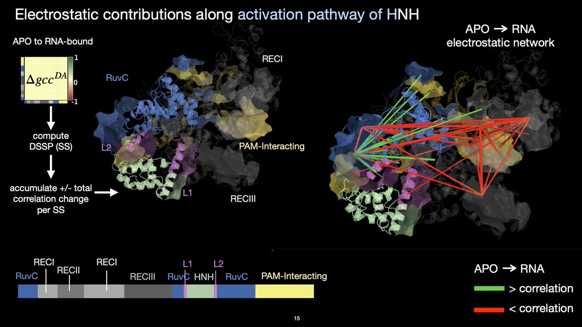 palermo_lab's tweet image. #BPS2023 - Federica Maschietto @fd_maschietto, post-doc in Batista Lab @Yale, is giving a talk today on ELECTROSTATIC NETWORKS FOR CHARACTERIZING ALLOSTERIC PATHWAYS. Federica is working with our lab to develop new methods to study #allostery.  
This afternoon - Room 6E