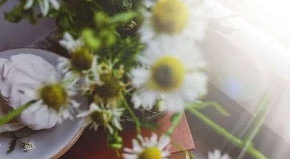 ConsueloVegaMx's tweet image. ✨You are not the opinion of someone who doesn’t know you! #freesouls #LoveIsBlind