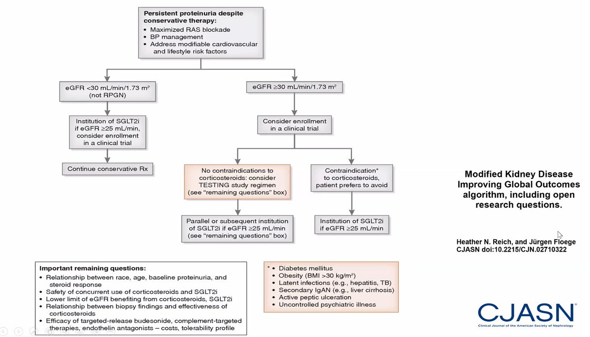 Nice overview of trials and treatment advances in IgA nephropathy this morning at #GlomCon.

Here's a modified KDIGO algorithm with some of these considerations below in this thread 🧵