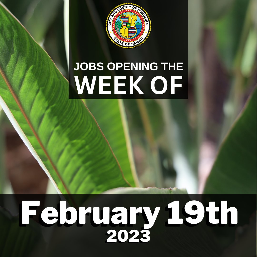 City of Honolulu on Twitter "RT hnl_dhr New jobs, new opportunities