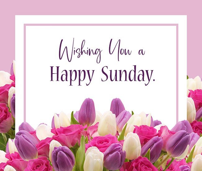 Sweet_Panda1987's tweet photo. Time to Sunday Funday

#happysunday #sundayfunday https://t.co/5RhzzeVNvd