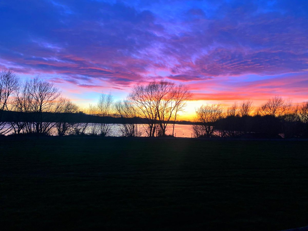 mattmorgan tweet media